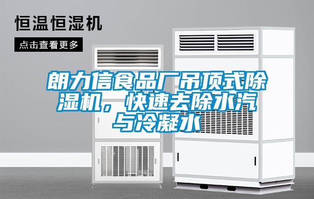 朗力信食品廠(chǎng)吊頂式除濕機，快速去除水汽與冷凝水