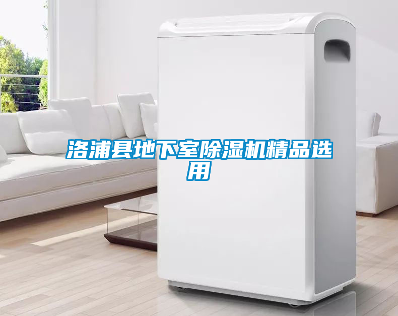 洛浦縣地下室除濕機精品選用