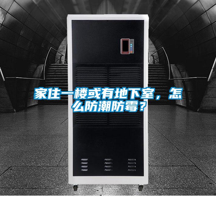 家住一樓或有地下室，怎么防潮防霉？