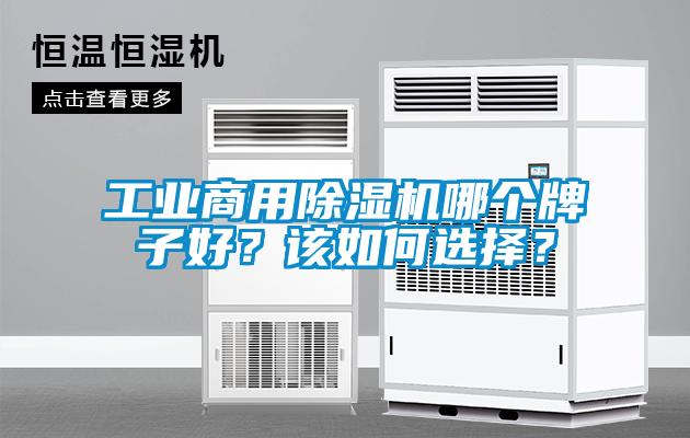 工業(yè)商用除濕機哪個牌子好？該如何選擇？