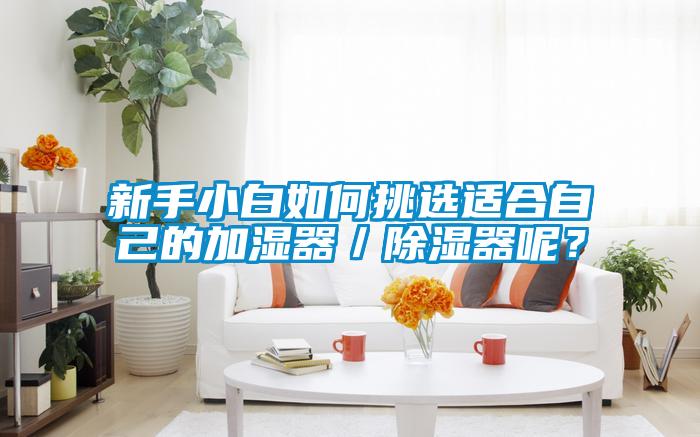 新手小白如何挑選適合自己的加濕器／除濕器呢？