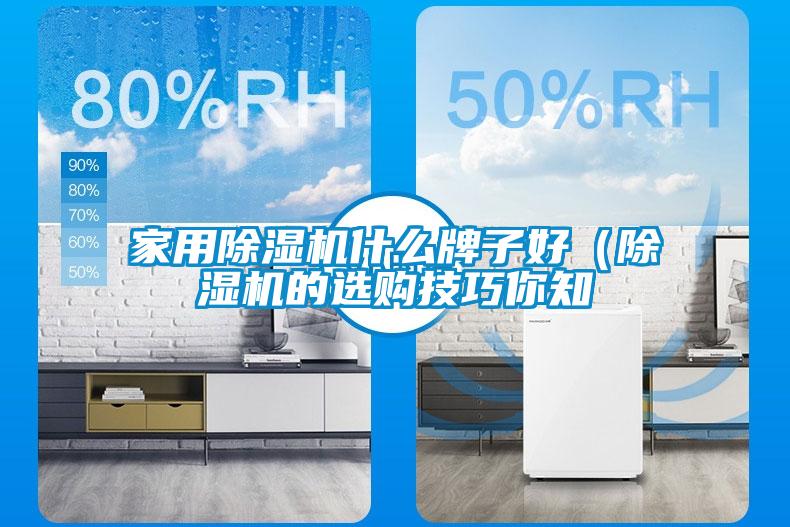 家用除濕機什么牌子好（除濕機的選購技巧你知