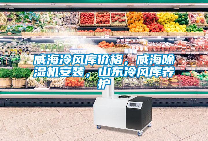 威海冷風(fēng)庫價(jià)格，威海除濕機安裝，山東冷風(fēng)庫養護