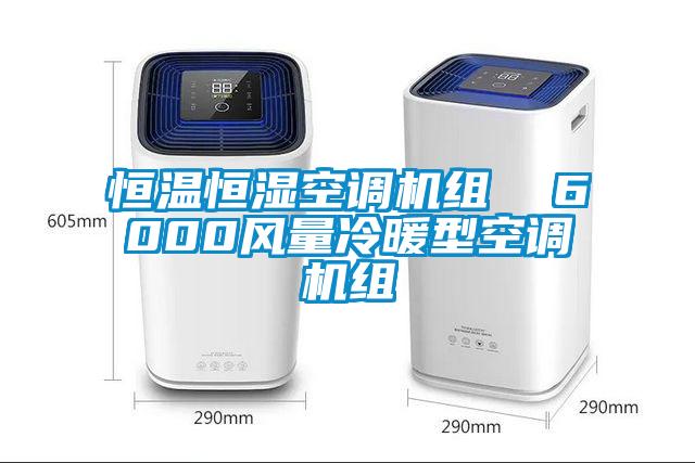 恒溫恒濕空調機組  6000風(fēng)量冷暖型空調機組