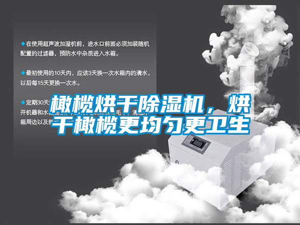 橄欖烘干除濕機，烘干橄欖更均勻更衛生