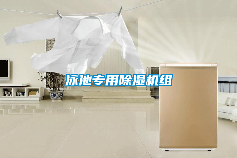 泳池專(zhuān)用除濕機(jī)組
