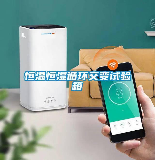 恒溫恒濕循環(huán)交變試驗箱