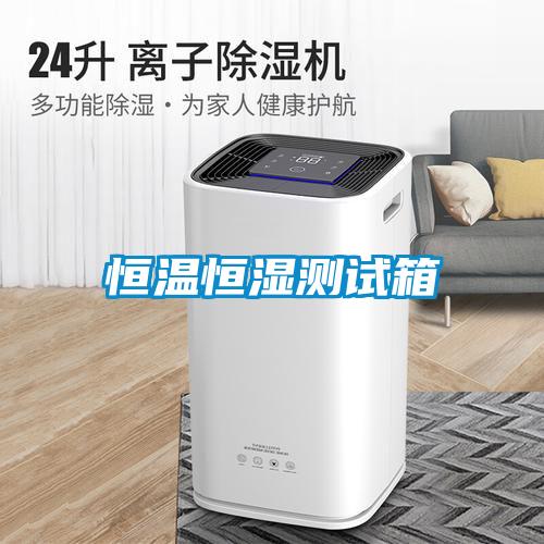 恒溫恒濕測試箱