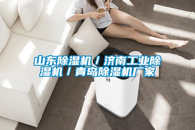 山東除濕機／濟南工業(yè)除濕機／青島除濕機廠(chǎng)家