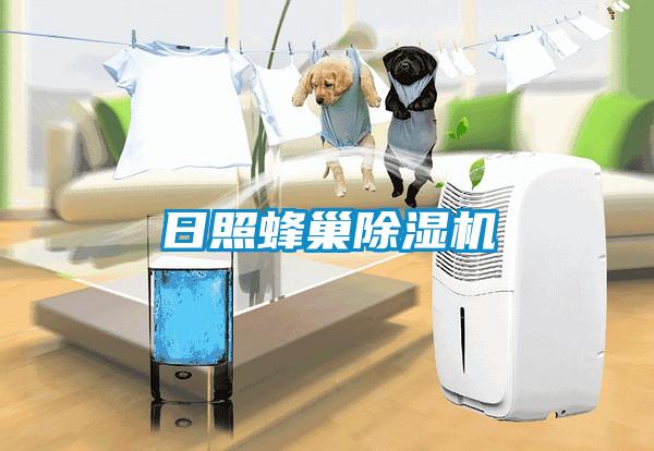 日照蜂巢除濕機