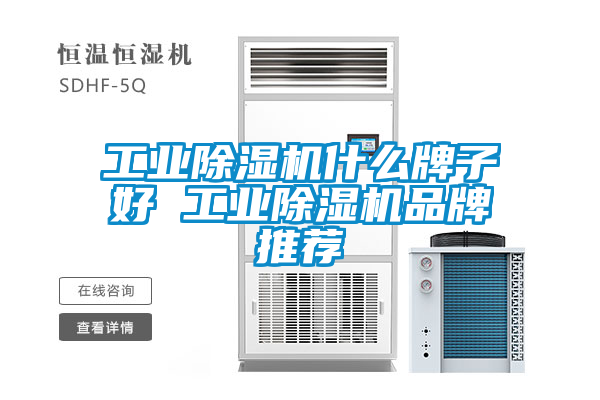 工業(yè)除濕機(jī)什么牌子好 工業(yè)除濕機(jī)品牌推薦