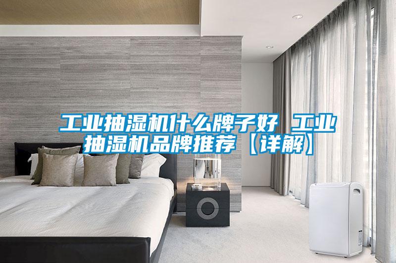 工業(yè)抽濕機什么牌子好 工業(yè)抽濕機品牌推薦【詳解】
