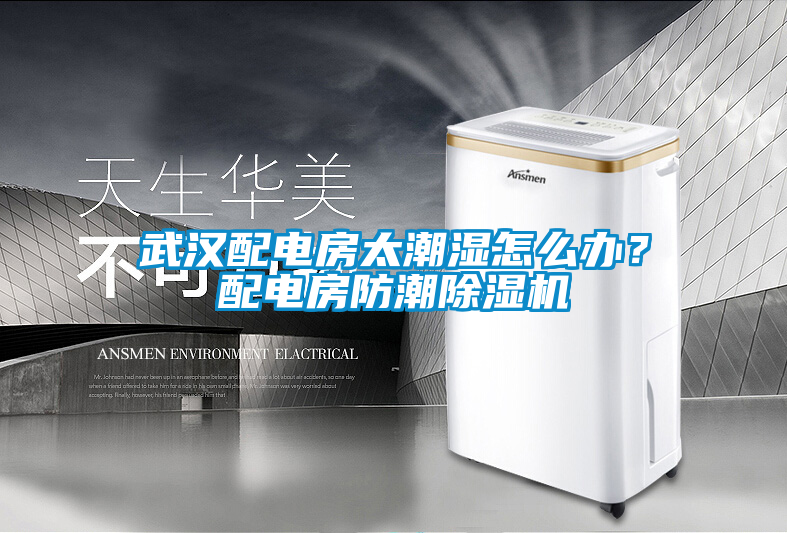 武漢配電房太潮濕怎么辦？配電房防潮除濕機(jī)