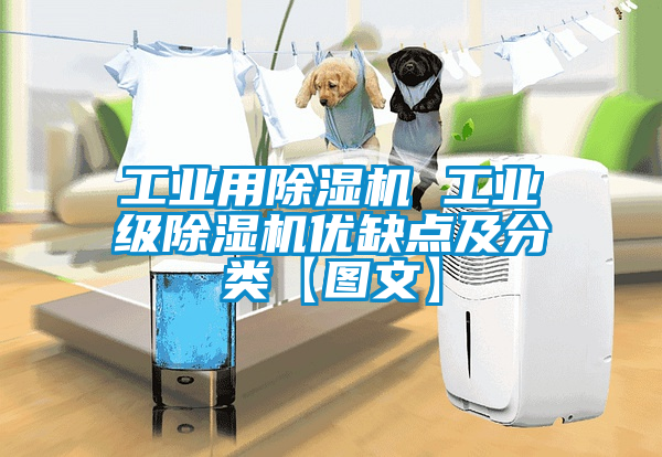 工業(yè)用除濕機(jī) 工業(yè)級(jí)除濕機(jī)優(yōu)缺點(diǎn)及分類(lèi)【圖文】