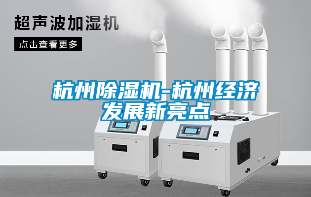 杭州除濕機-杭州經(jīng)濟發(fā)展新亮點(diǎn)