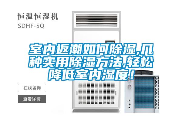 室內返潮如何除濕,幾種實(shí)用除濕方法,輕松降低室內濕度！