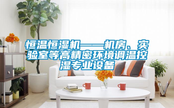 恒溫恒濕機(jī)——機(jī)房、實(shí)驗(yàn)室等高精密環(huán)境調(diào)溫控濕專業(yè)設(shè)備