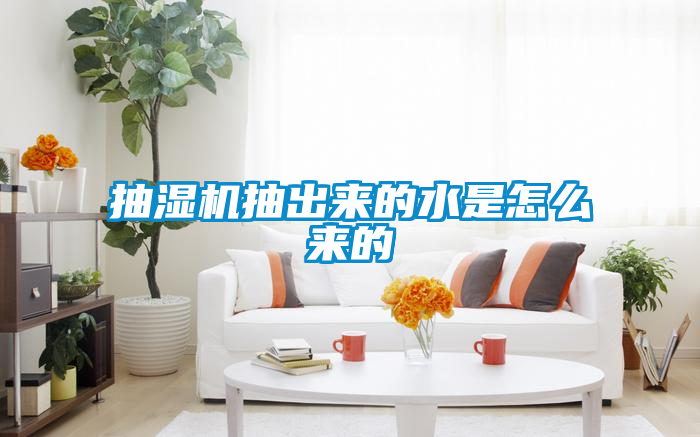 抽濕機(jī)抽出來的水是怎么來的