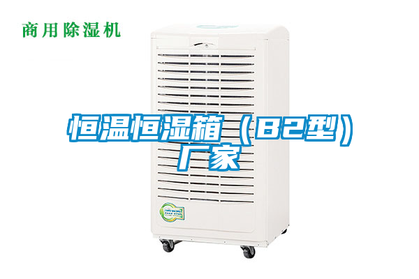 恒溫恒濕箱（B2型）廠(chǎng)家