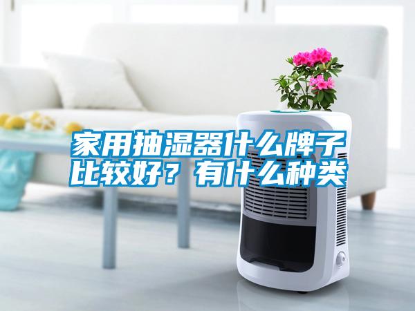 家用抽濕器什么牌子比較好？有什么種類(lèi)