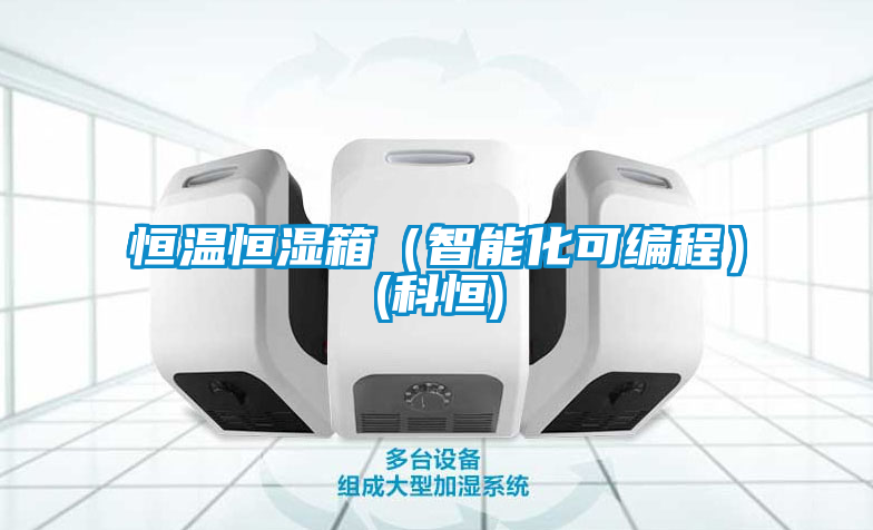 恒溫恒濕箱（智能化可編程）(科恒)