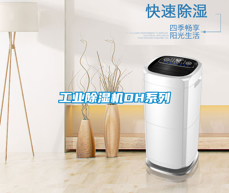 工業(yè)除濕機DH系列