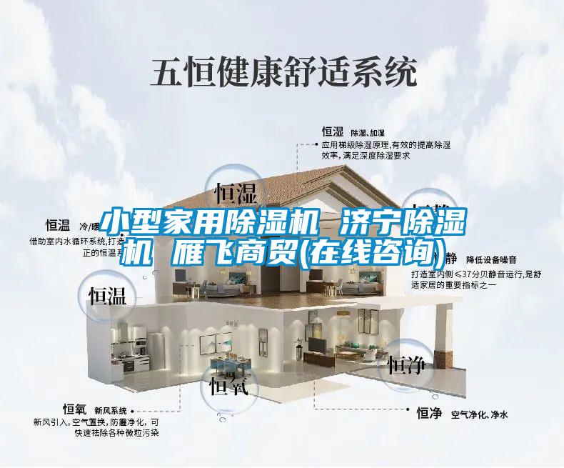 小型家用除濕機 濟寧除濕機 雁飛商貿(在線(xiàn)咨詢(xún))