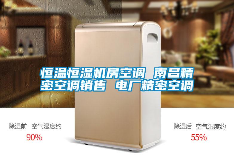 恒溫恒濕機房空調 南昌精密空調銷(xiāo)售 電廠(chǎng)精密空調
