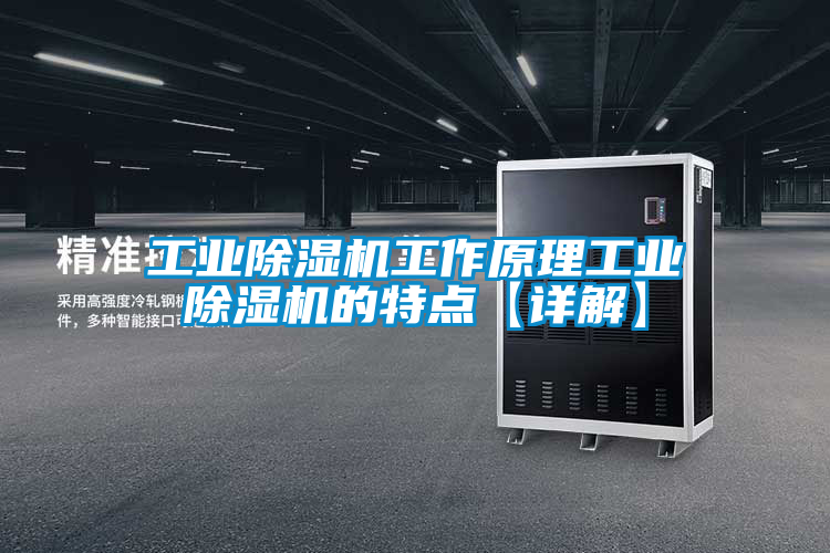 工業(yè)除濕機工作原理工業(yè)除濕機的特點(diǎn)【詳解】