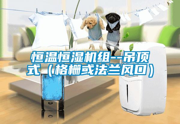 恒溫恒濕機組--吊頂式（格柵或法蘭風(fēng)口）