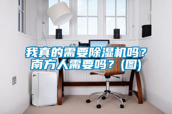 我真的需要除濕機嗎？南方人需要嗎？(圖)