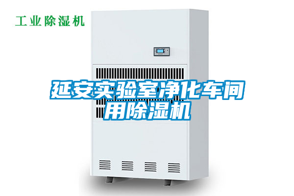 延安實(shí)驗室凈化車(chē)間用除濕機