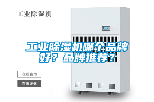 工業(yè)除濕機(jī)哪個品牌好？品牌推薦？