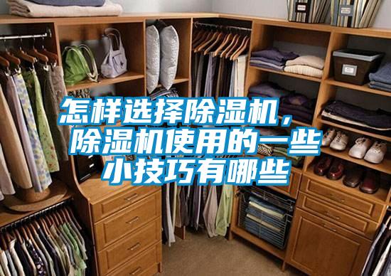 怎樣選擇除濕機， 除濕機使用的一些小技巧有哪些