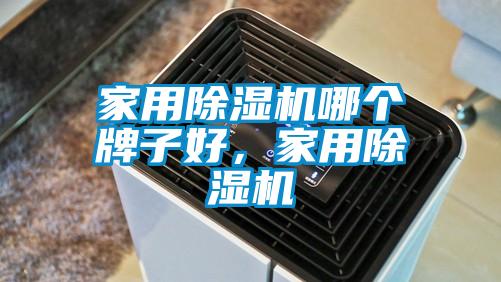 家用除濕機哪個(gè)牌子好，家用除濕機