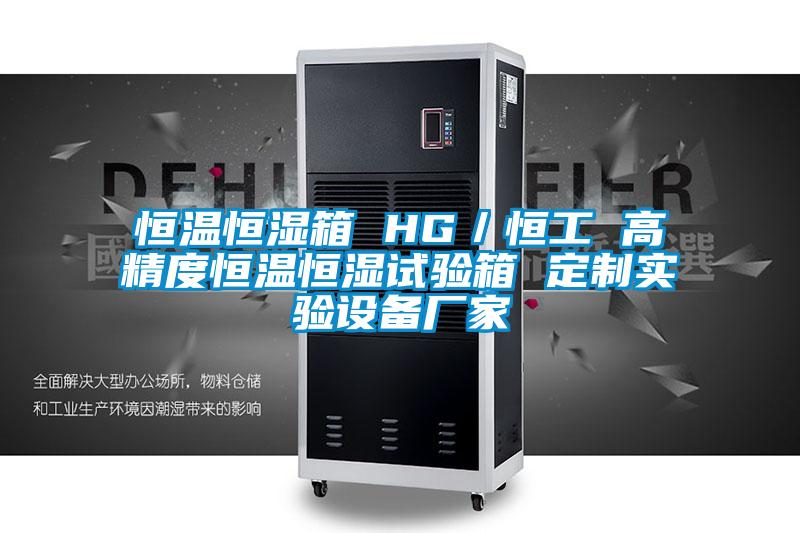 恒溫恒濕箱 HG／恒工 高精度恒溫恒濕試驗(yàn)箱 定制實(shí)驗(yàn)設(shè)備廠家