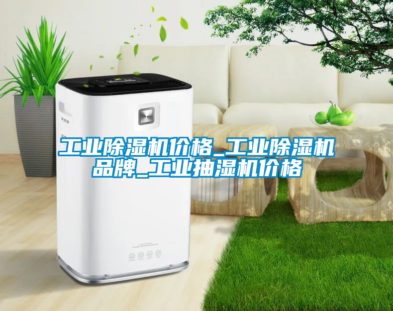 工業(yè)除濕機(jī)價(jià)格_工業(yè)除濕機(jī)品牌_工業(yè)抽濕機(jī)價(jià)格