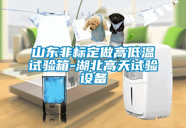 山東非標定做高低溫試驗箱-湖北高天試驗設備
