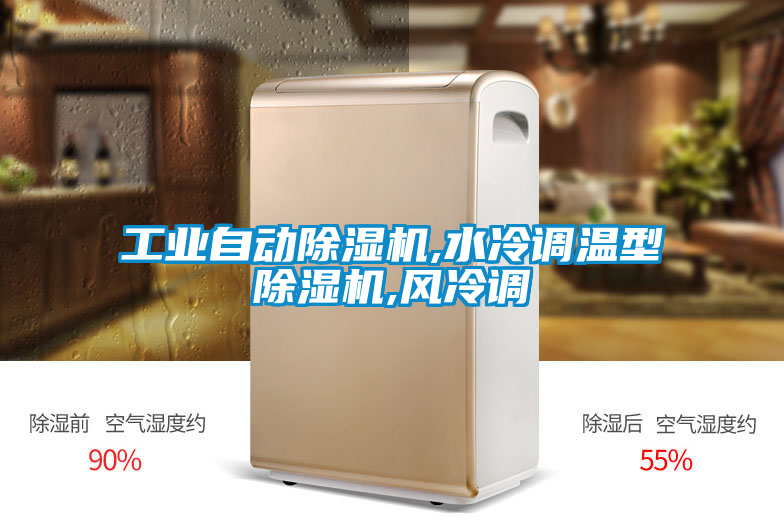 工業(yè)自動除濕機,水冷調(diào)溫型除濕機,風(fēng)冷調(diào)