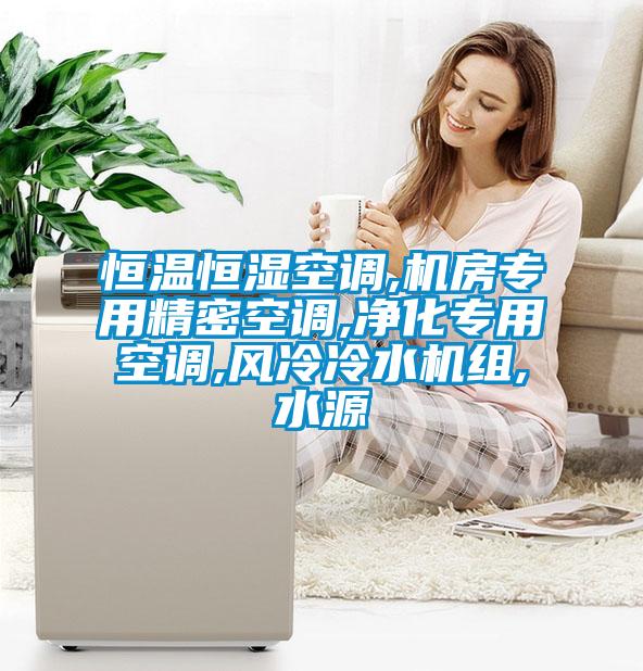 恒溫恒濕空調,機房專(zhuān)用精密空調,凈化專(zhuān)用空調,風(fēng)冷冷水機組,水源