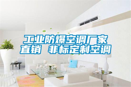 工業(yè)防爆空調廠(chǎng)家直銷(xiāo) 非標定制空調