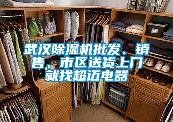 武漢除濕機(jī)批發(fā)、銷售、市區(qū)送貨上門就找超邁電器
