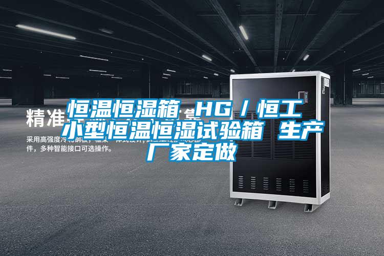 恒溫恒濕箱 HG／恒工 小型恒溫恒濕試驗箱 生產(chǎn)廠(chǎng)家定做