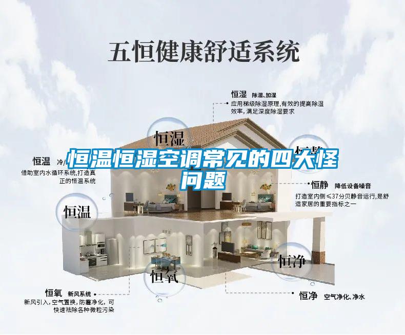 恒溫恒濕空調常見(jiàn)的四大怪問(wèn)題