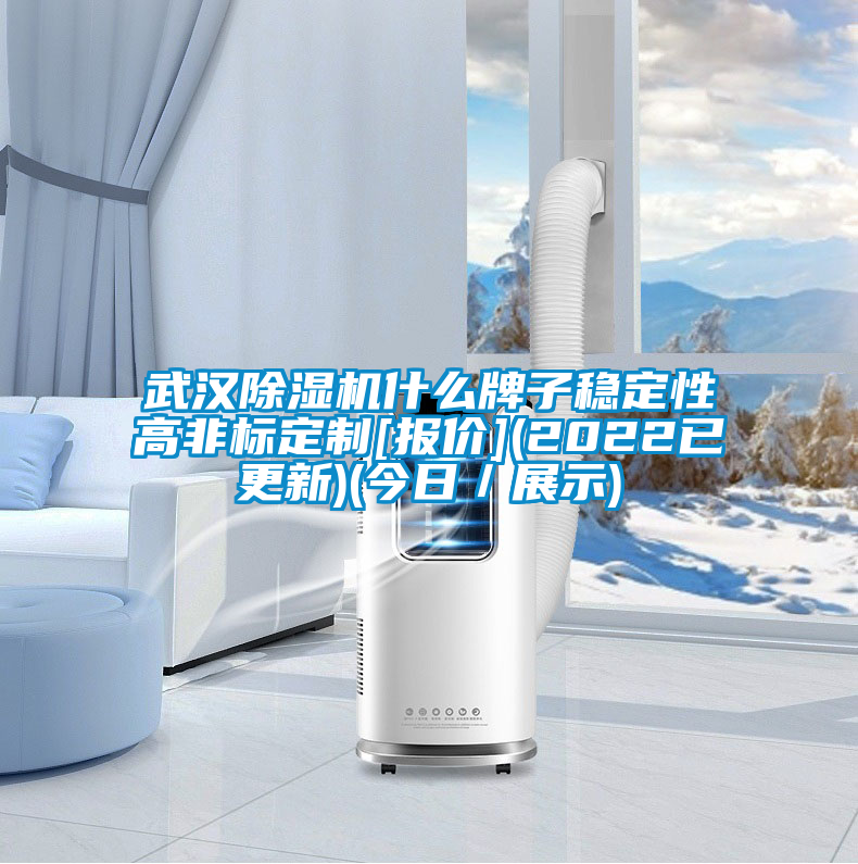武漢除濕機什么牌子穩(wěn)定性高非標定制[報價](2022已更新)(今日／展示)