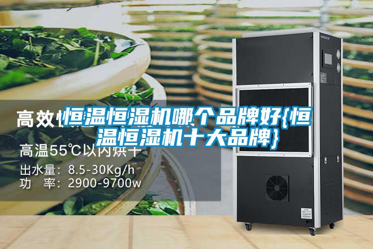 恒溫恒濕機哪個(gè)品牌好{恒溫恒濕機十大品牌}