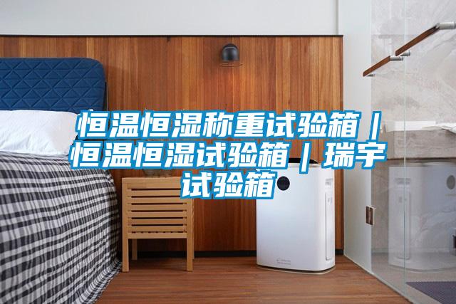 恒溫恒濕稱(chēng)重試驗箱｜恒溫恒濕試驗箱｜瑞宇試驗箱