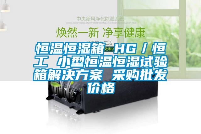 恒溫恒濕箱 HG／恒工 小型恒溫恒濕試驗箱解決方案 采購批發(fā)價格