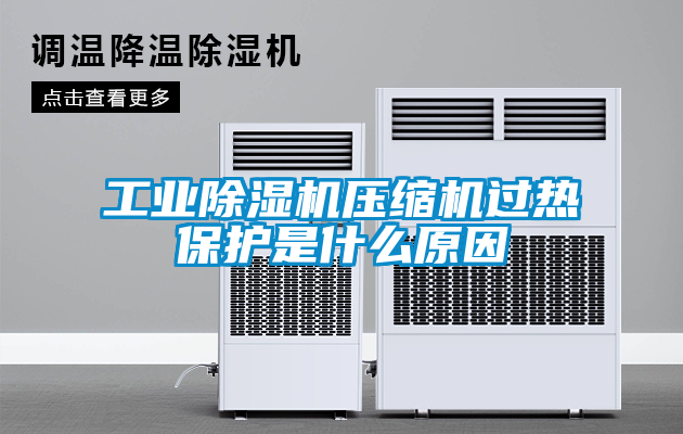 工業(yè)除濕機壓縮機過熱保護是什么原因