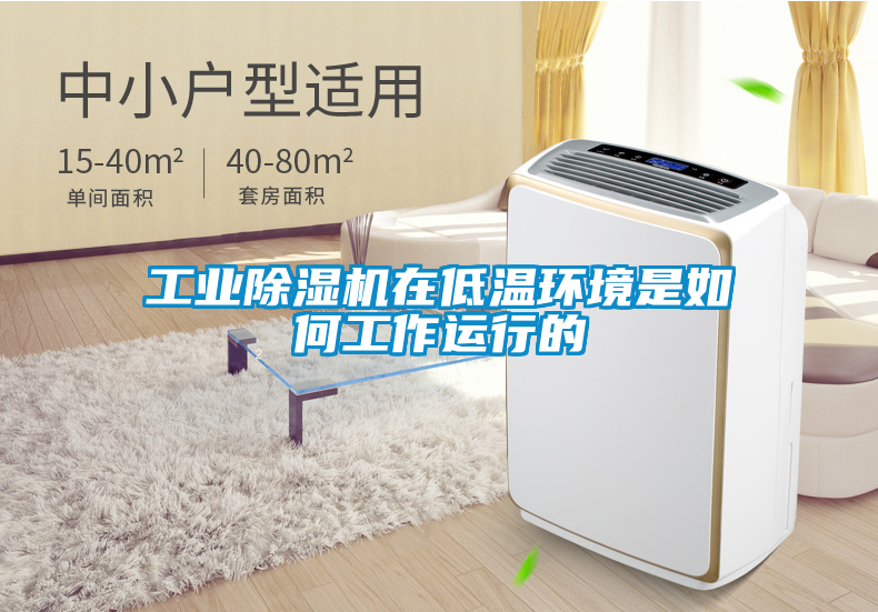 工業(yè)除濕機(jī)在低溫環(huán)境是如何工作運行的